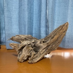 大阪府の流木の中古が安い!激安で譲ります・無料であげます 大阪府の流木の中古が安い!激安で譲ります・無料であげます