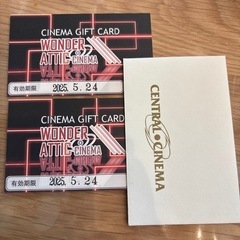 【受渡者決定】映画鑑賞券　ワンダーアティックシネマ　2枚