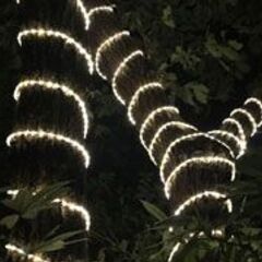 朝日と風と江ノ電と。鎌倉の音色に包まれる【カマキャン No.2】　 - 鎌倉市