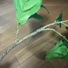 決まりました　フェイクグリーンの画像