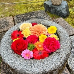 ☆神社仏閣巡り御朱印集めサークルメンバー募集☆ - 久世郡