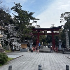 ☆神社仏閣巡り御朱印集めサークルメンバー募集☆ - その他