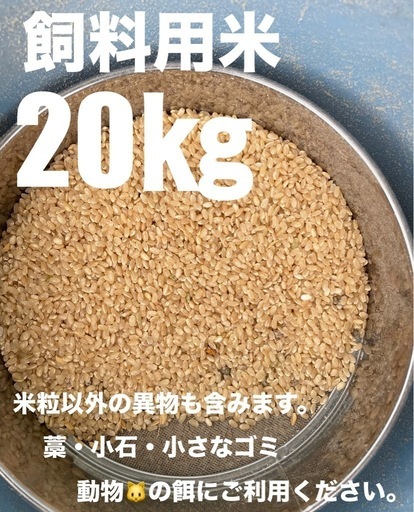 令和6年産 くず米 クズ米 小米 高品質 飼料用 屑米 小米 令和6年産 くず米 クズ米 小米 令