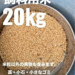 飼料用　屑米　小米
