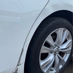 商品名  日産 フーガ 250 GTタイプP ホワイトY-51の画像