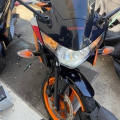 cbr250 mc41