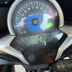 cbr250 mc41の画像