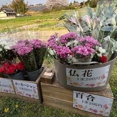 花　花束　ブーケ　仏花　ユリ　百合　無人販売　カーネーション