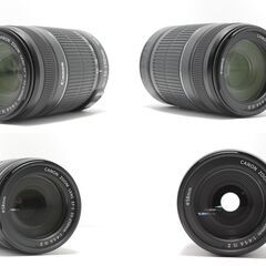 ズーム撮影をこの1本で！ Canon 55-250 IS II 美品レンズの画像
