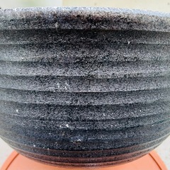 水鉢の画像