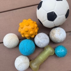 わんちゃん用ボール🏀
