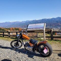 ホンダジャズ　フルカスタムの画像