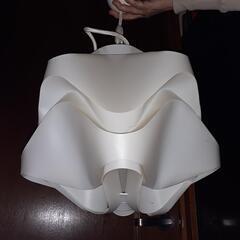 ペンダント照明LED電球の画像