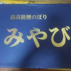 高級鯉のぼり