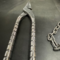 盛光菊絞りやっとこの画像