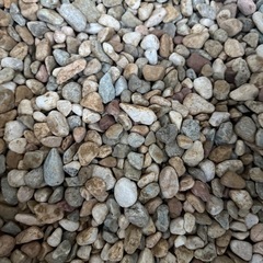 さらに増えました！玉砂利70Lくらい？の画像