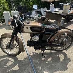 yb1 50
