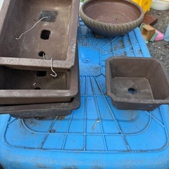 盆栽鉢セット売り