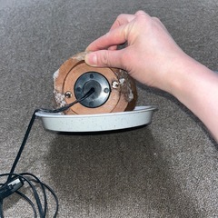 岩塩ランプ（ジャンク品）の画像