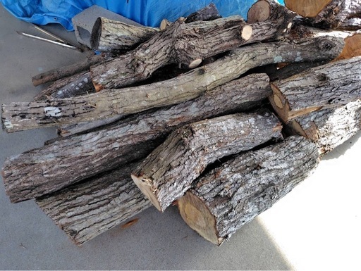 ウバメガシ　最終値下げ