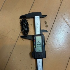 パラワンオオヒラクワガタ ペア 86×47の画像
