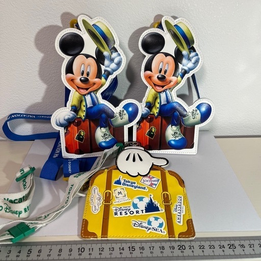 ディズニー40周年バケーションパッケージセット