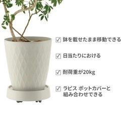 植物の鉢のキャスタープレートの画像
