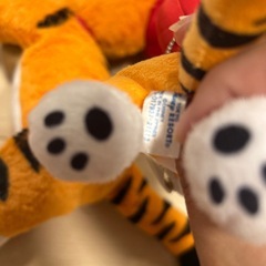 ディズニーぬいぐるみアラジンと🧞‍♂️魔法のランプの虎🐯の画像