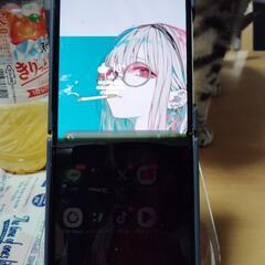GALAXY Z Filp5 SIMフリーの画像