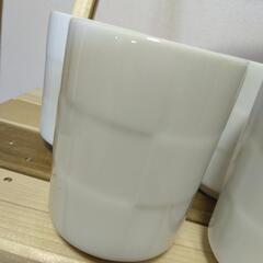 白い湯呑み　４個セットの画像