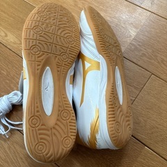 ミズノ モナルシーダ NEO SALA PRO IN 25.5の画像
