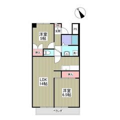 KS🌸初期費用８万円🏠✨敷金ゼロ🌟礼金ゼロ🌟仲介手数料ゼロ🌟ペッ...