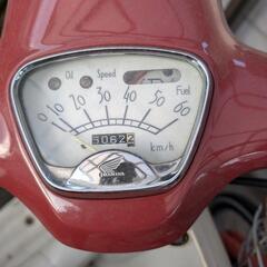 原付　ホンダ　ジョルノ　50ccの画像