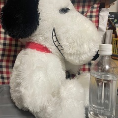 スヌーピーぬいぐるみの画像