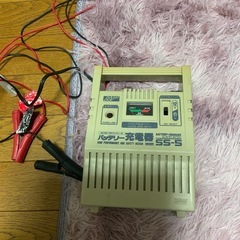 洗濯機 パナソニック NA-F50B11 (2017年製) (ひろゆきジロ 洗濯機 パナソニック NA-F50B11 (2017年製) (ひろゆきジロ