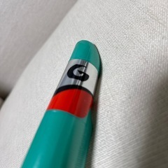 ガル　スノーケル　シュノーケルの画像