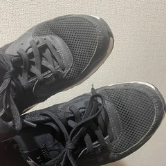 ナイキ 24cmエアマックスの画像