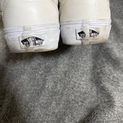 VANSスニーカー
の画像