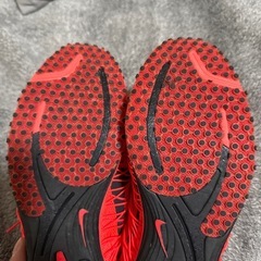 NIKE ルナスパイダーの画像