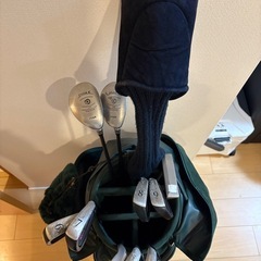 ⭐︎希少マスターズバッグ　本格派 メンズゴルフクラブ 11本セッ...