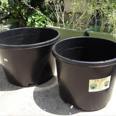 大きな植木鉢ありませんか？