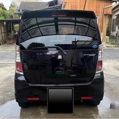 スティングレーの画像