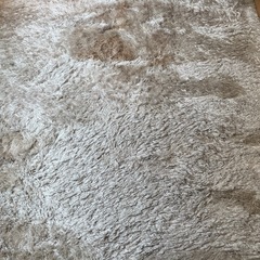 Francfranc フランフラン ラグ  の画像