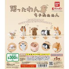 怒ったわんちゃあぁぁん4種11匹