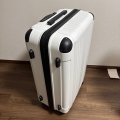 大容量スーツケースの画像