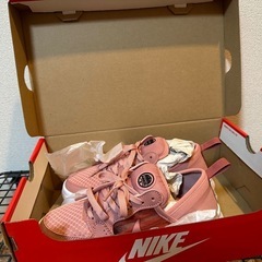 NIKE ナイキ コートビジョンアルタ ピンク 22.5cmの画像