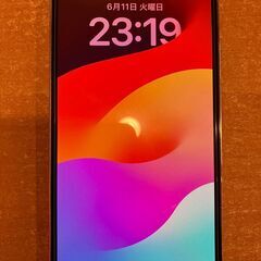 【要整備】iPhone 12 Pro 256GB ゴールド　SI...