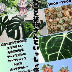植物