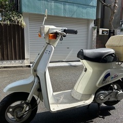 SUZUKI 薔薇の画像