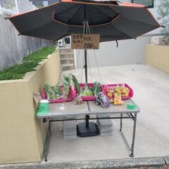 無農薬朝取り新鮮野菜　100円均一　4/13